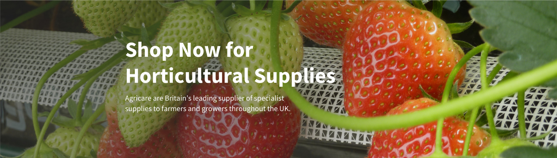 Shopw now for Horticultural Supplies. Agricare are Britain's leading supplier of specialist supplies to farmers and growers throughout the UK