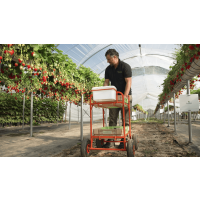 Building Long-Term Partnerships in Fruit Growing: W B Chambers x Agricare