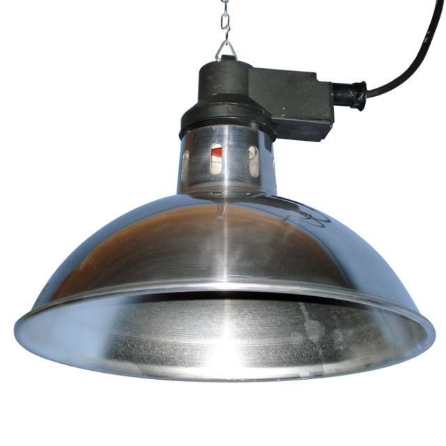 Intelec Traditional Infra-Red Heatlamp