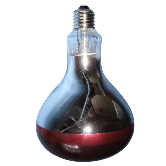 Intelec Hard Glass Infra-Red Heat Bulb - 150W Ruby