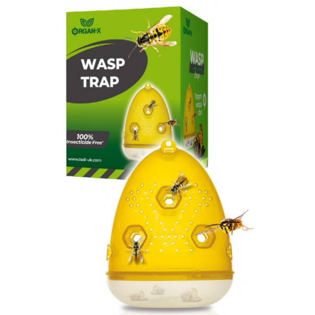 Organ-X Wasp Trap