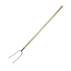 Pitch Fork