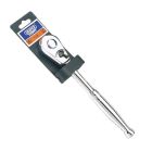 Reversible Ratchet