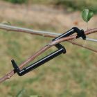 Branch Training Clip