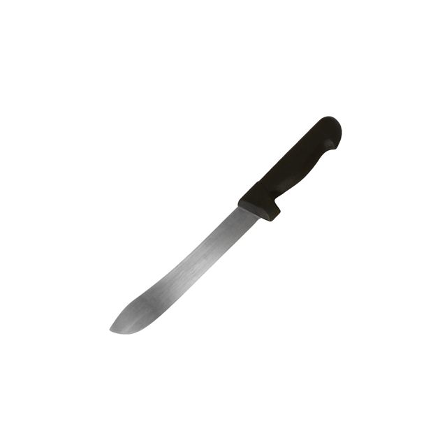 Knife with Stainless Steel Blade and Poly Handle