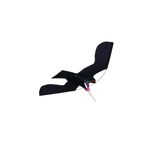Hawk Kite Complete