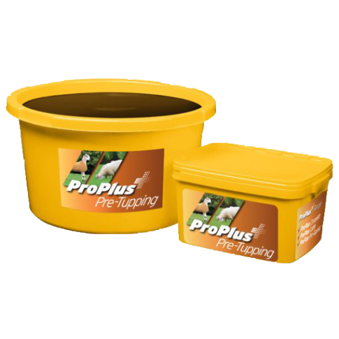 Scotmin Pro Plus Feed Supplement Buckets